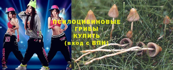 трава Кинешма