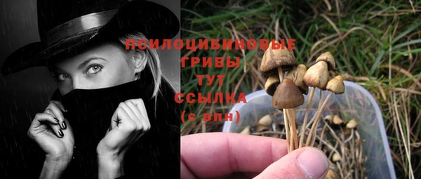 трава Кинешма