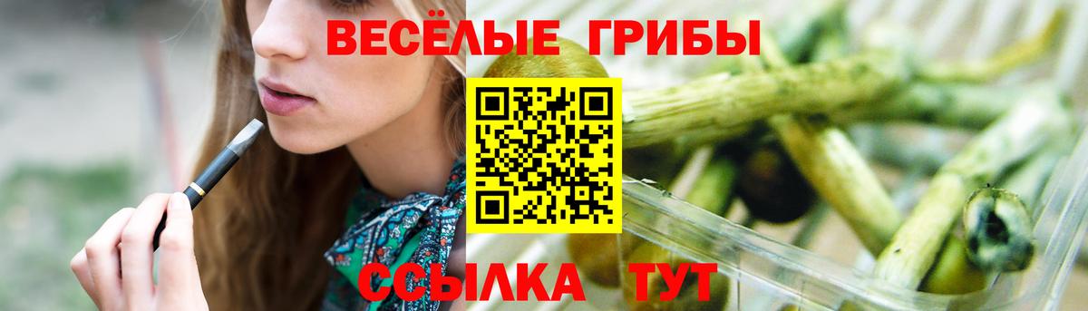 Псилоцибиновые грибы мицелий  Галлюциногенные грибы GOLDEN TEACHER  Саров  Вход с VPN 